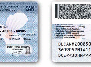Database Canada Driver’s License