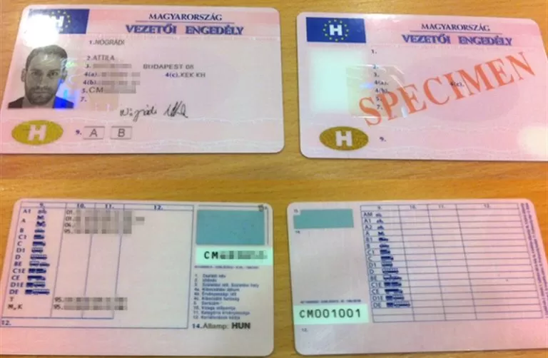 Hungarian driving license