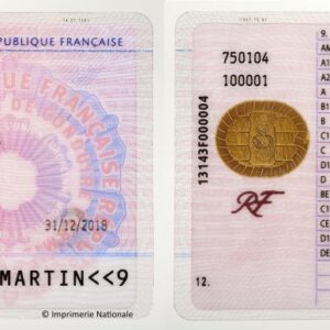 Permis de Conduire Français Réels