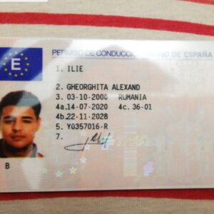 Spanish driver license online