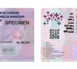 Swiss drivers License